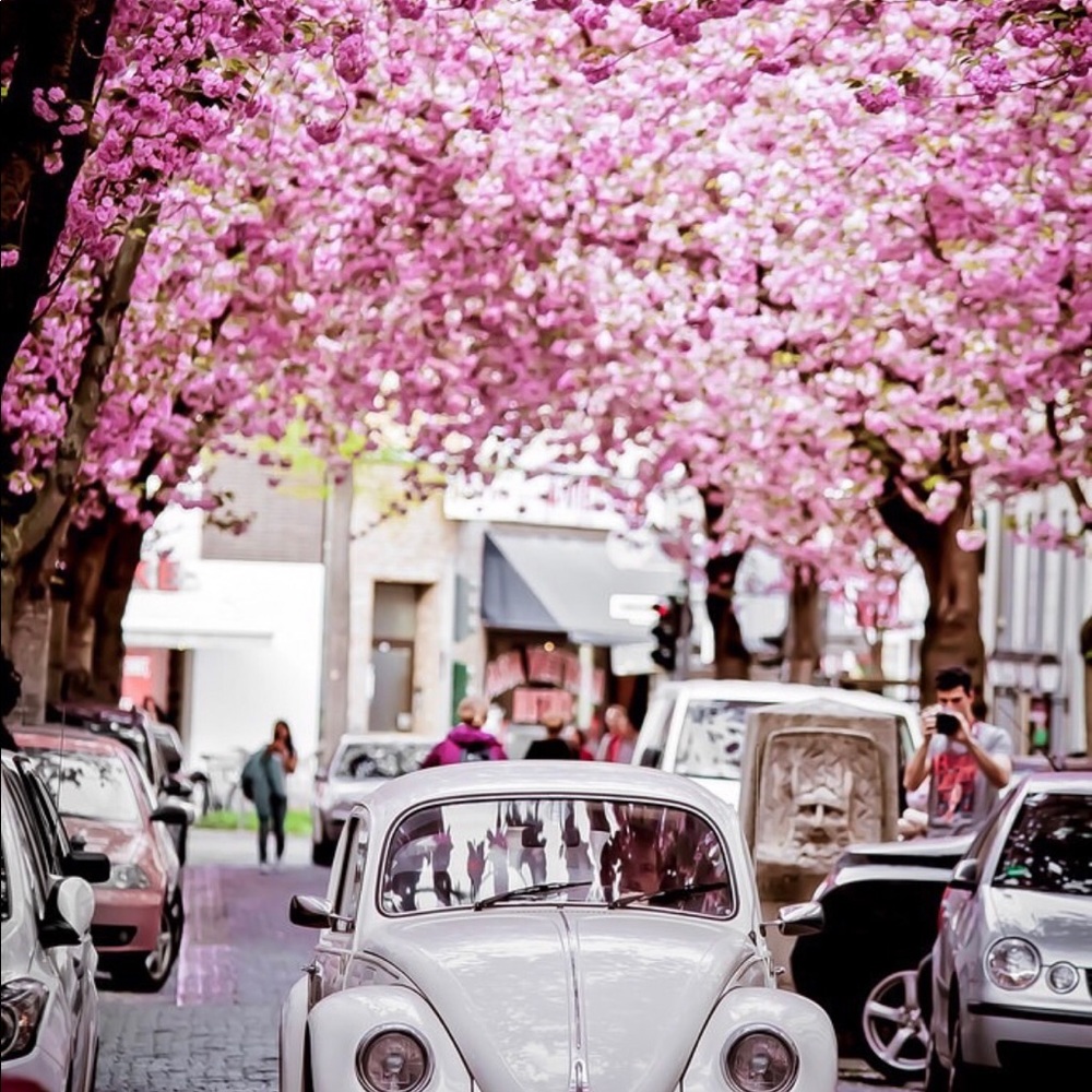 Meet your Posher, Yvette